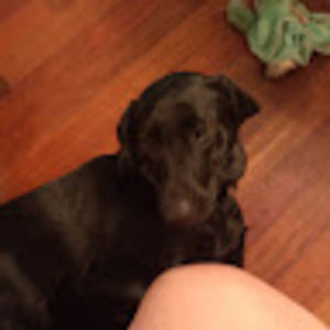 Meet your Posher, R & c